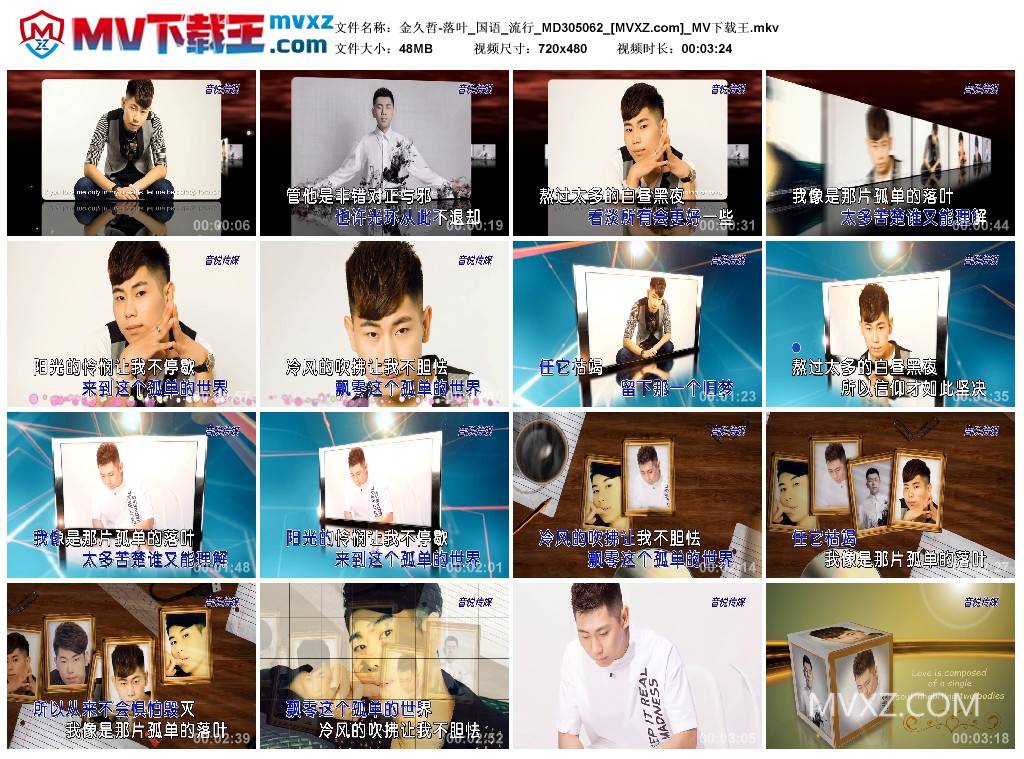 金久哲-落叶_国语_流行_MD305062